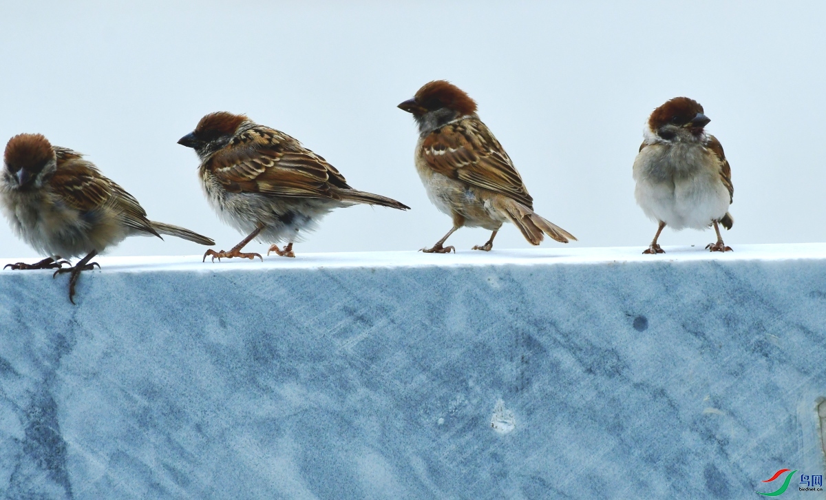 DSC_5766_conew1.jpg
