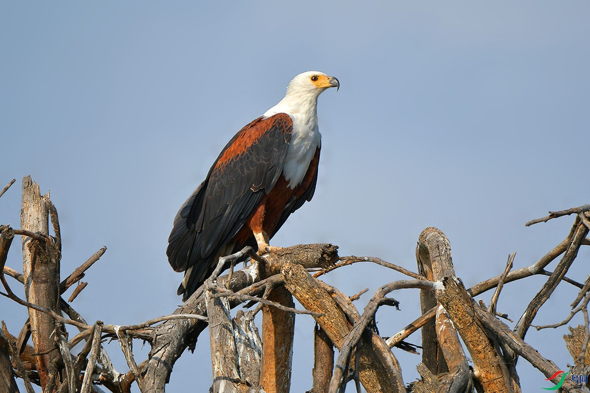 DSC_8886_.jpg