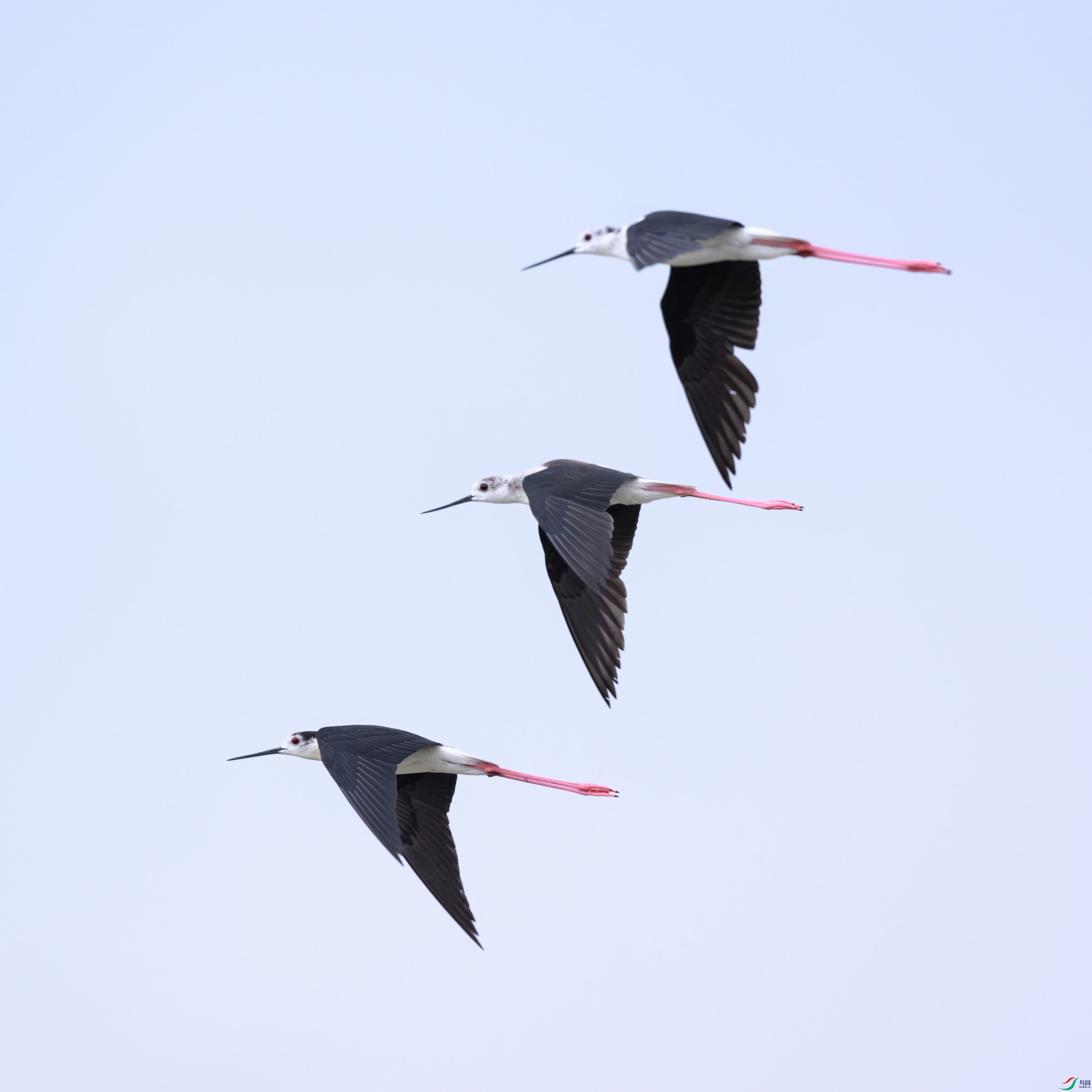 DSC_4050.jpg