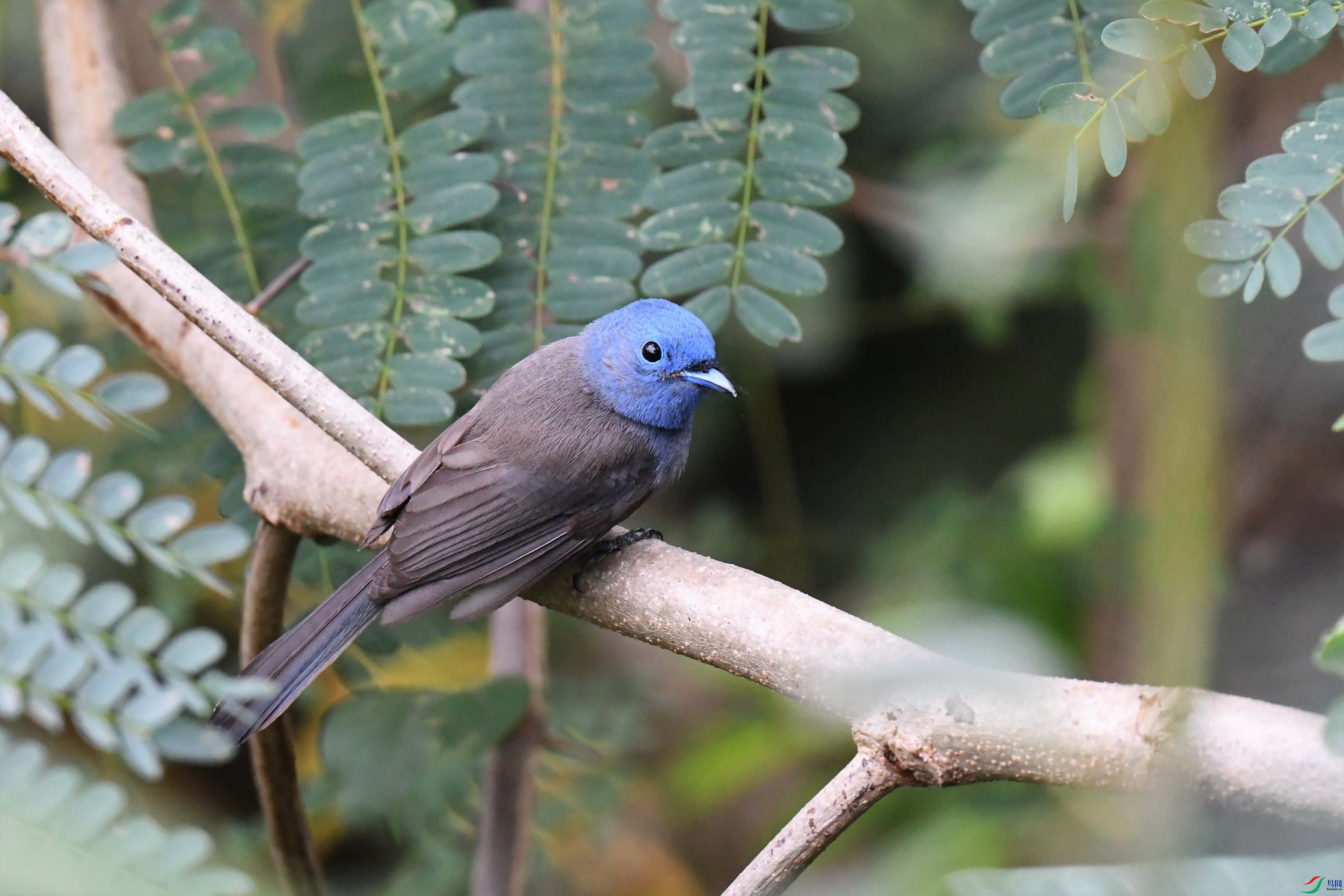 �������l (1).JPG