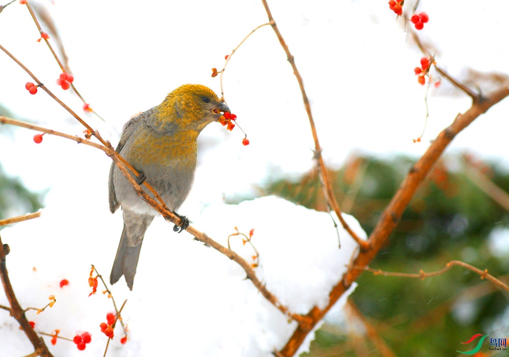 ��ȸ--3  IMG_71680---333.jpg