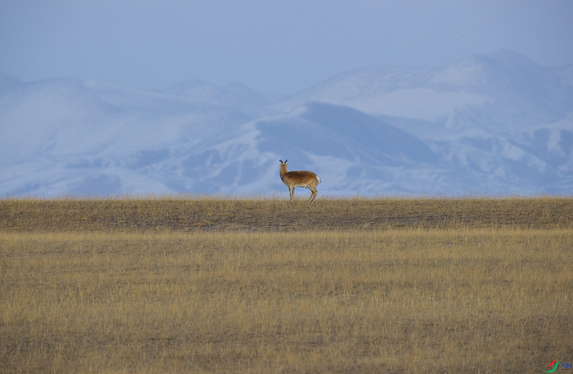 �л��Խ���