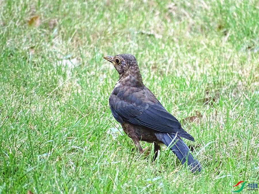 DSC02376.JPG