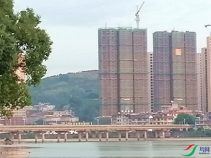 ΢��ͼƬ_20220712103643.jpg