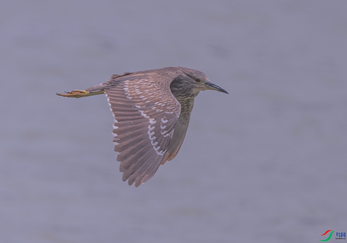 DSC_7628_����.jpg