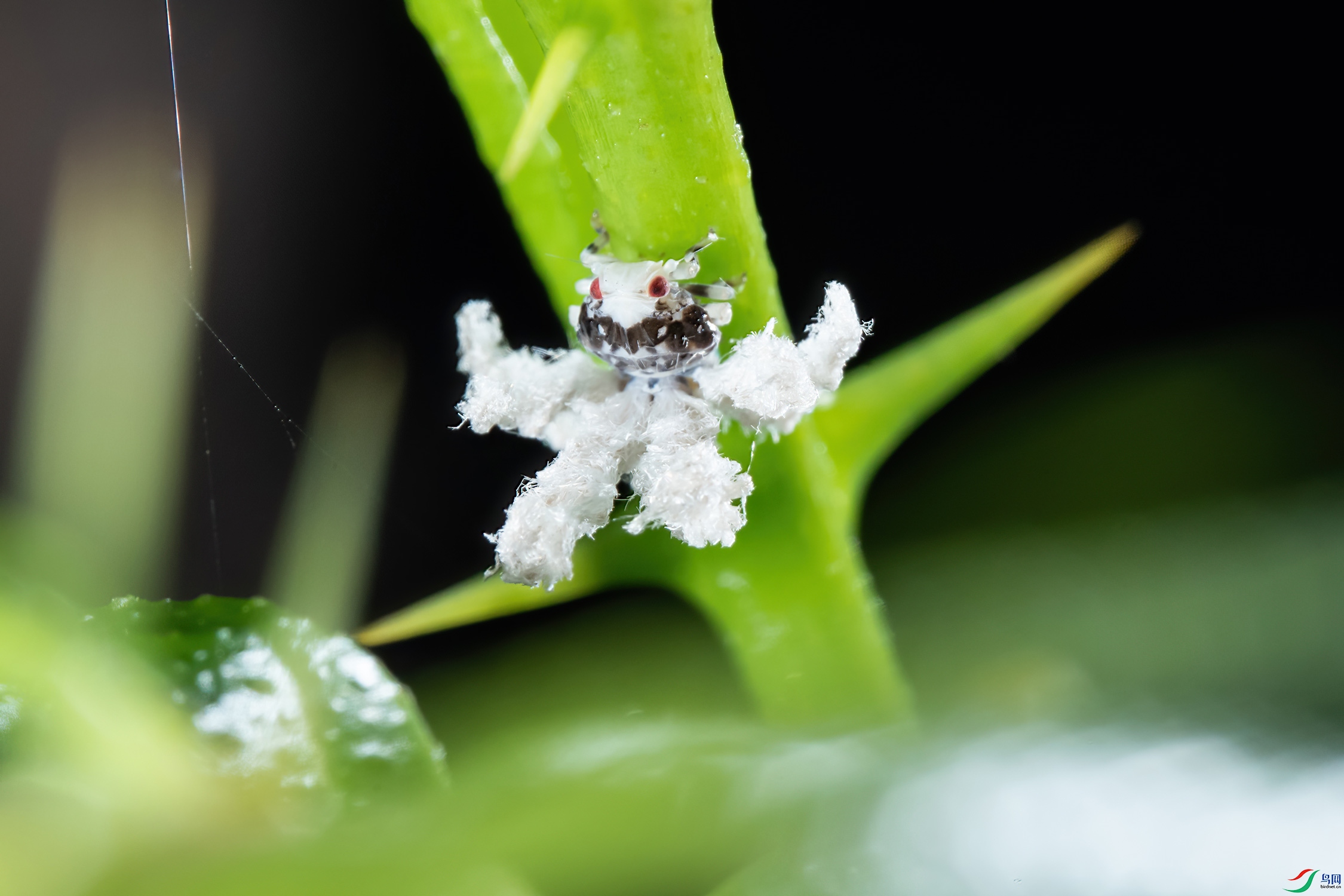 DSC_0021-x.jpg