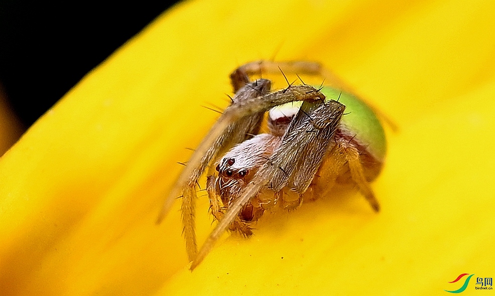 CFH_4298_����.jpg