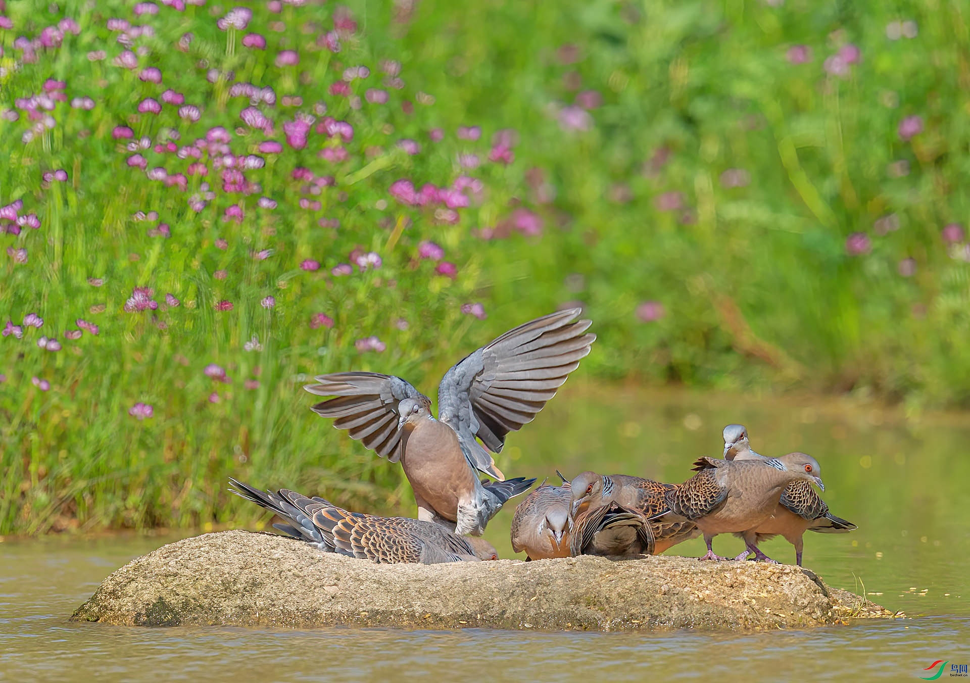 DSC_2960 ����.jpg