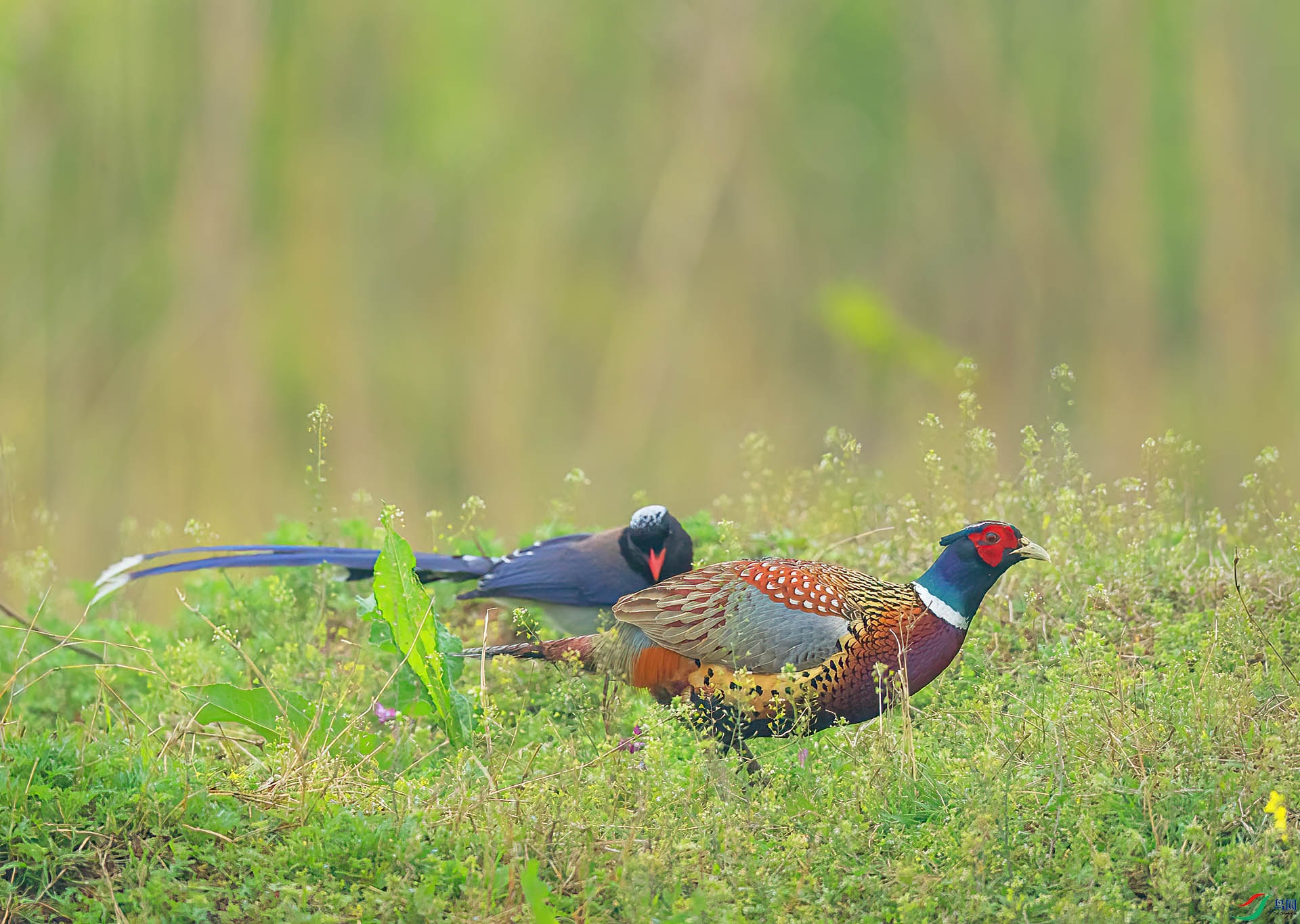 DSC_7151.jpg