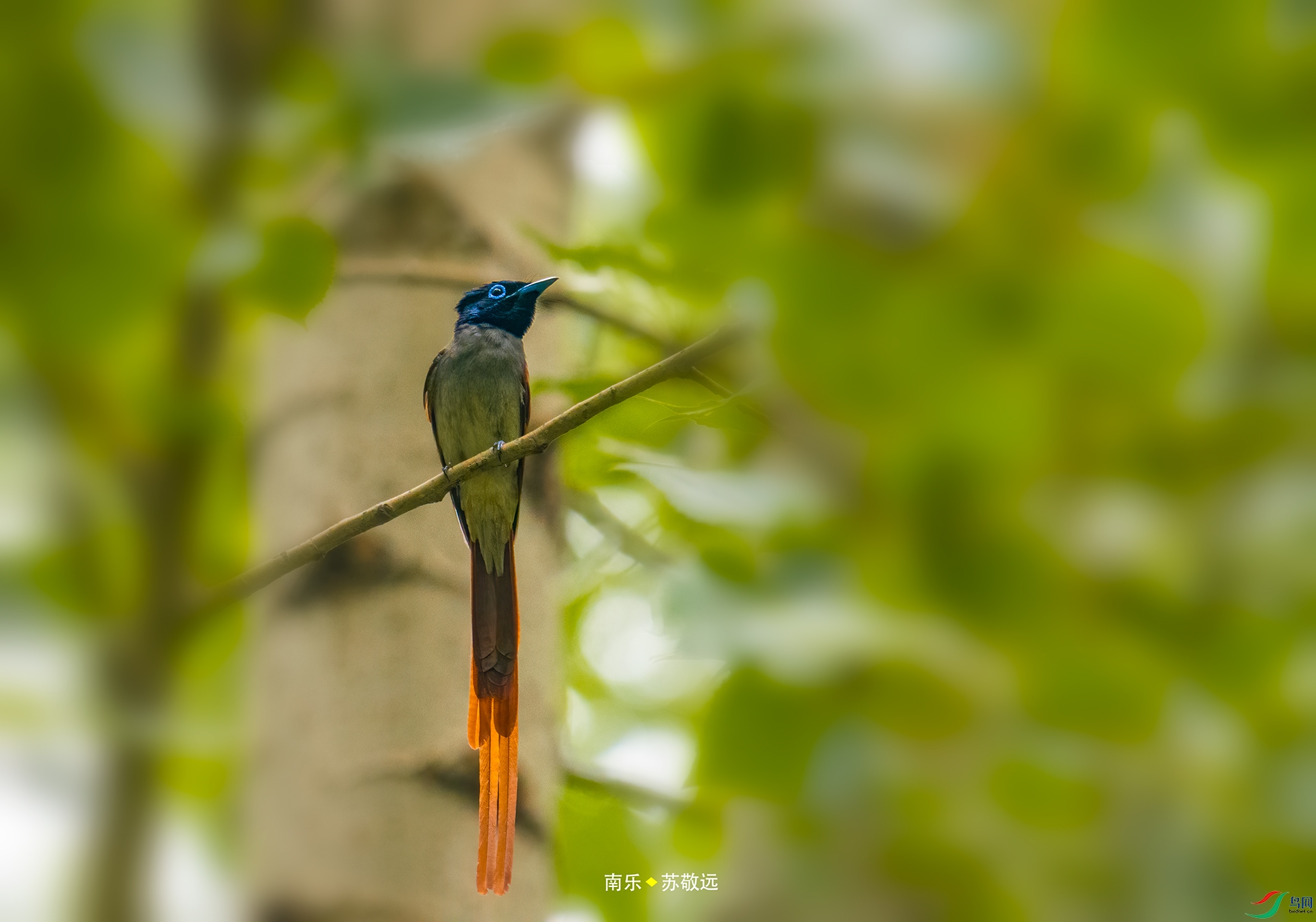 _DSC5408С.jpg
