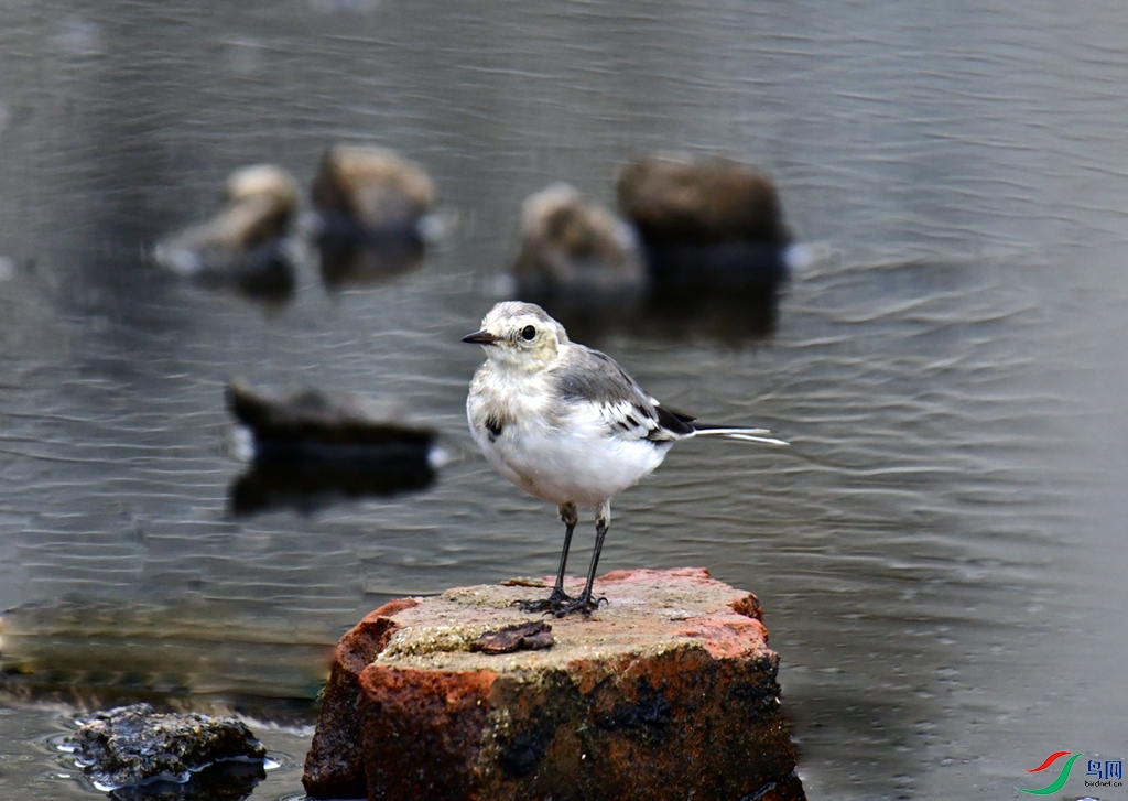 DSC_5812.jpg