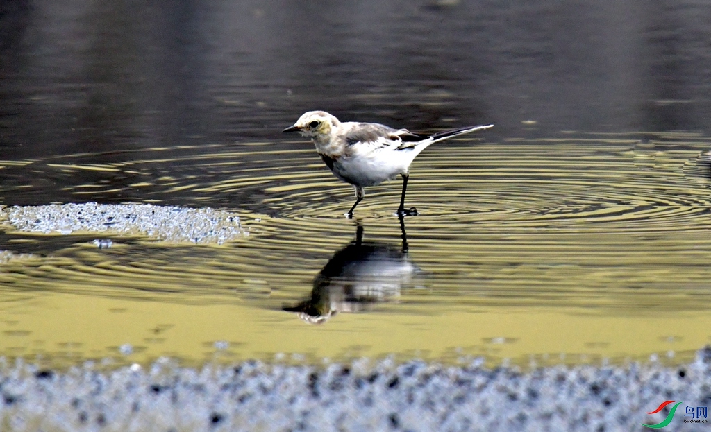 DSC_5876.jpg