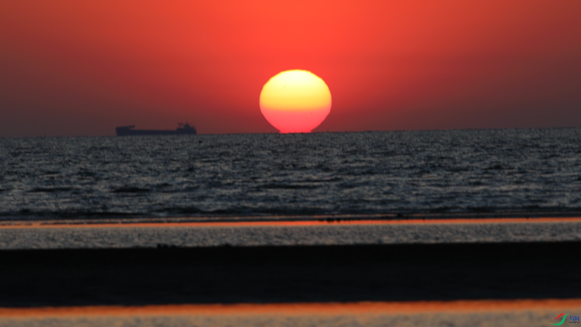 �����չ�