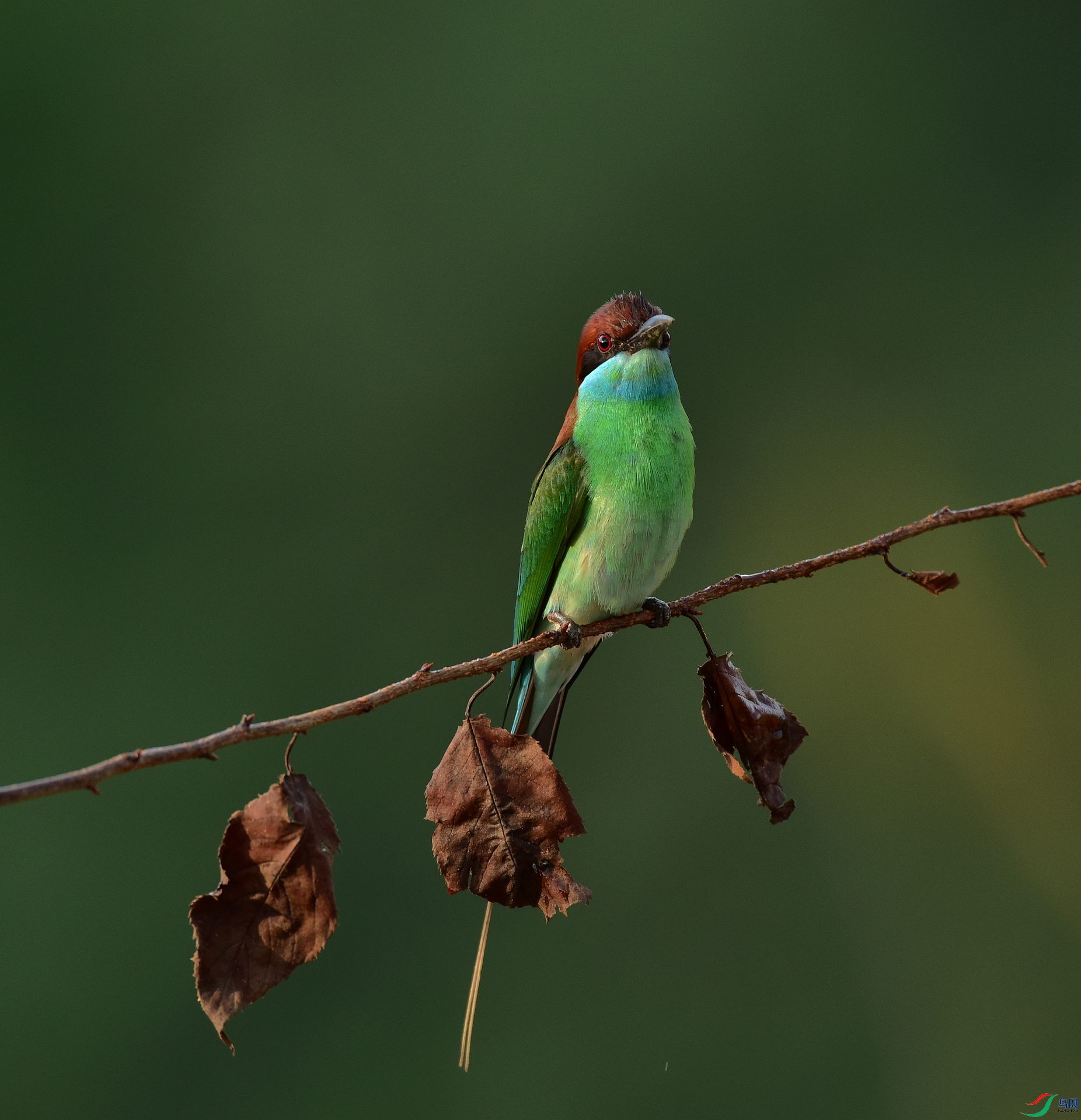 D8I_5205.jpg