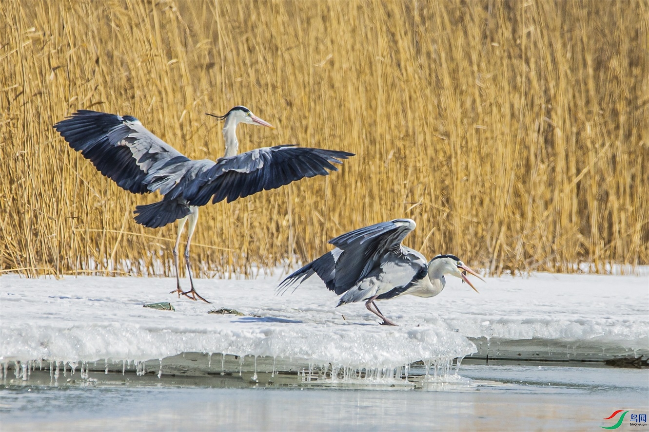 DK7T0293 ����1.jpg