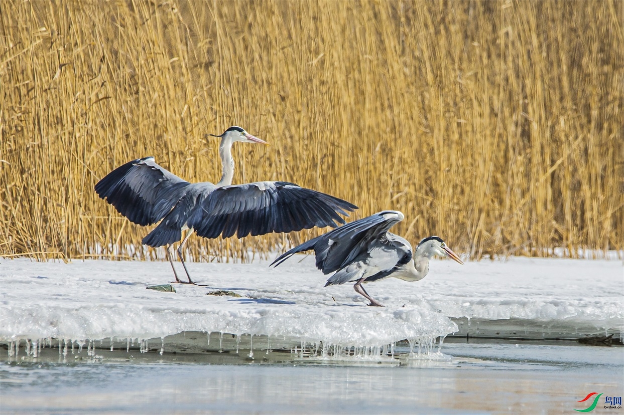 DK7T0294 ����1.jpg