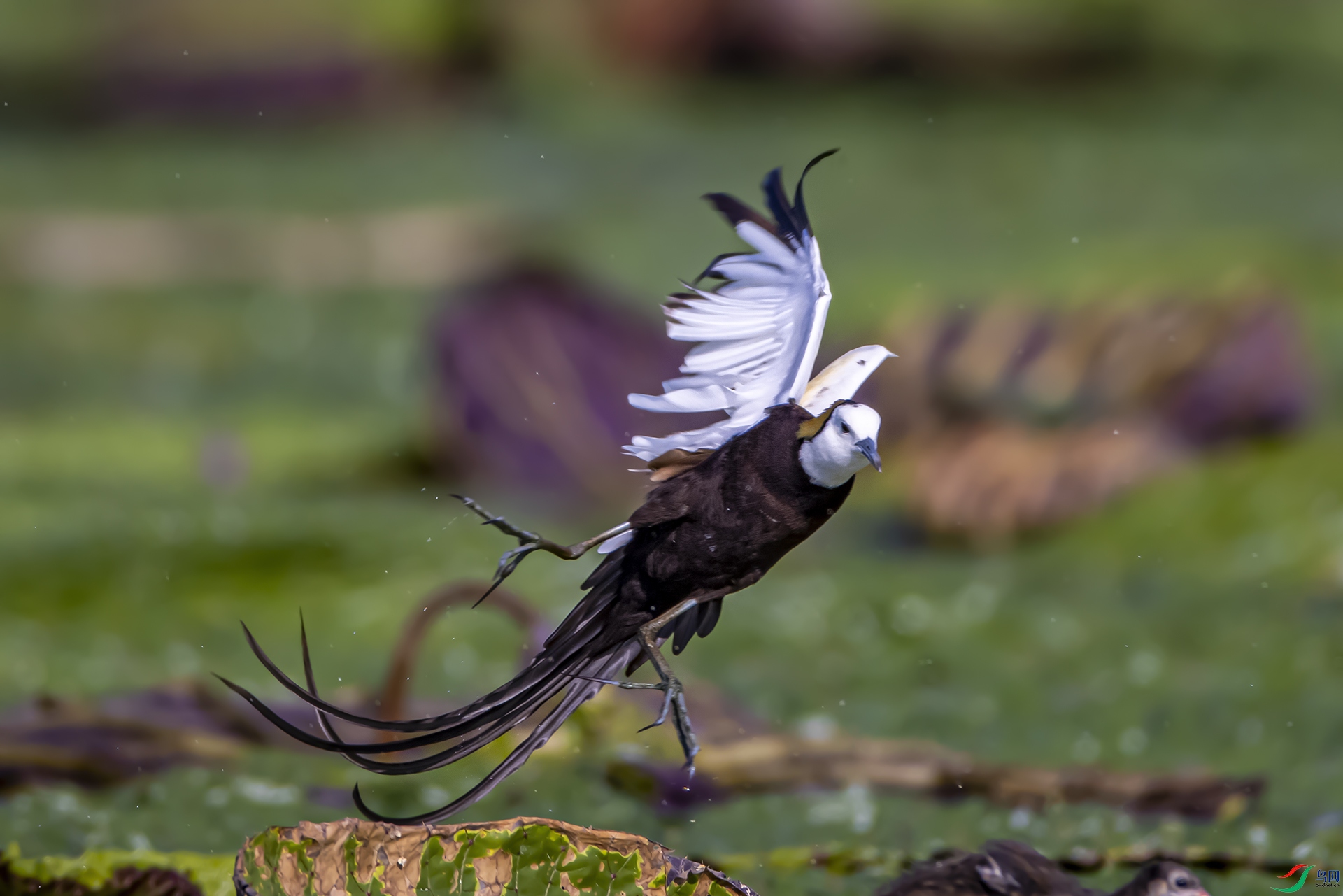 407A6673--1 .jpg