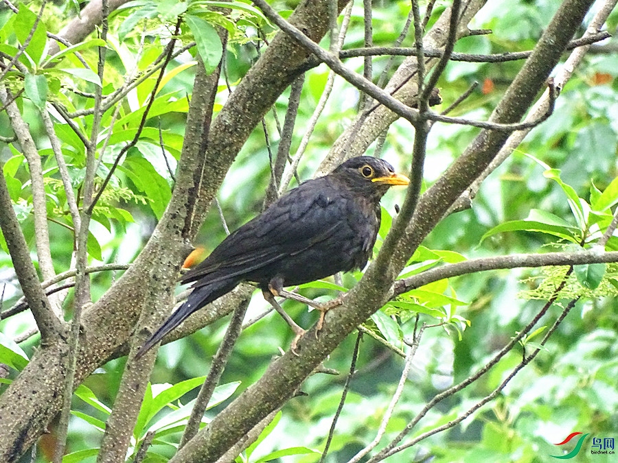 DSC02105.JPG