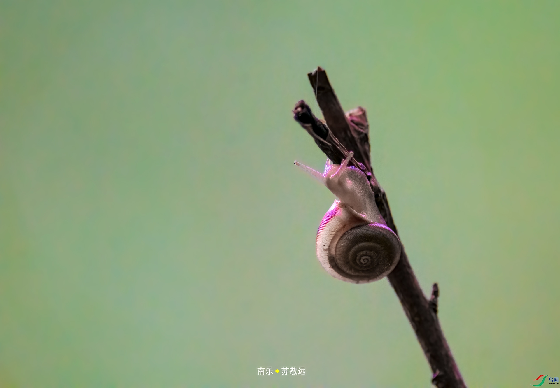 _DSC5375С.jpg
