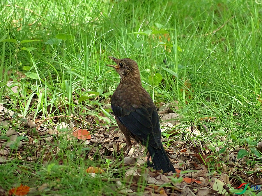DSC02179.JPG