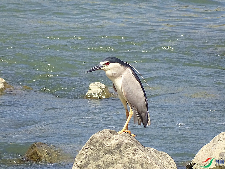 DSC02326.JPG