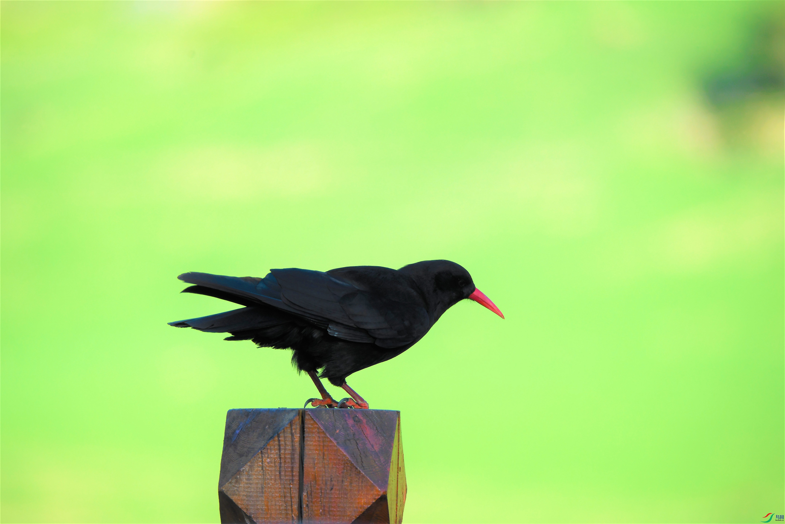 ����ɽѻ ������.JPG