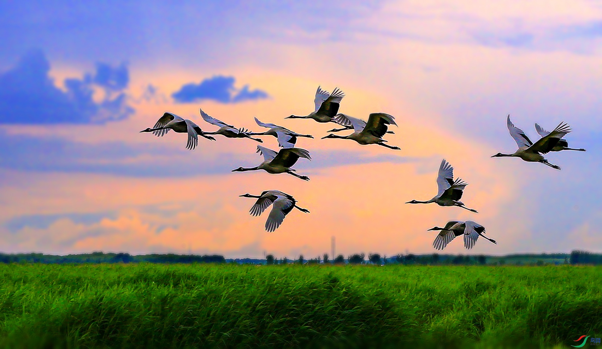 ��ϼӳ����---111 .jpg