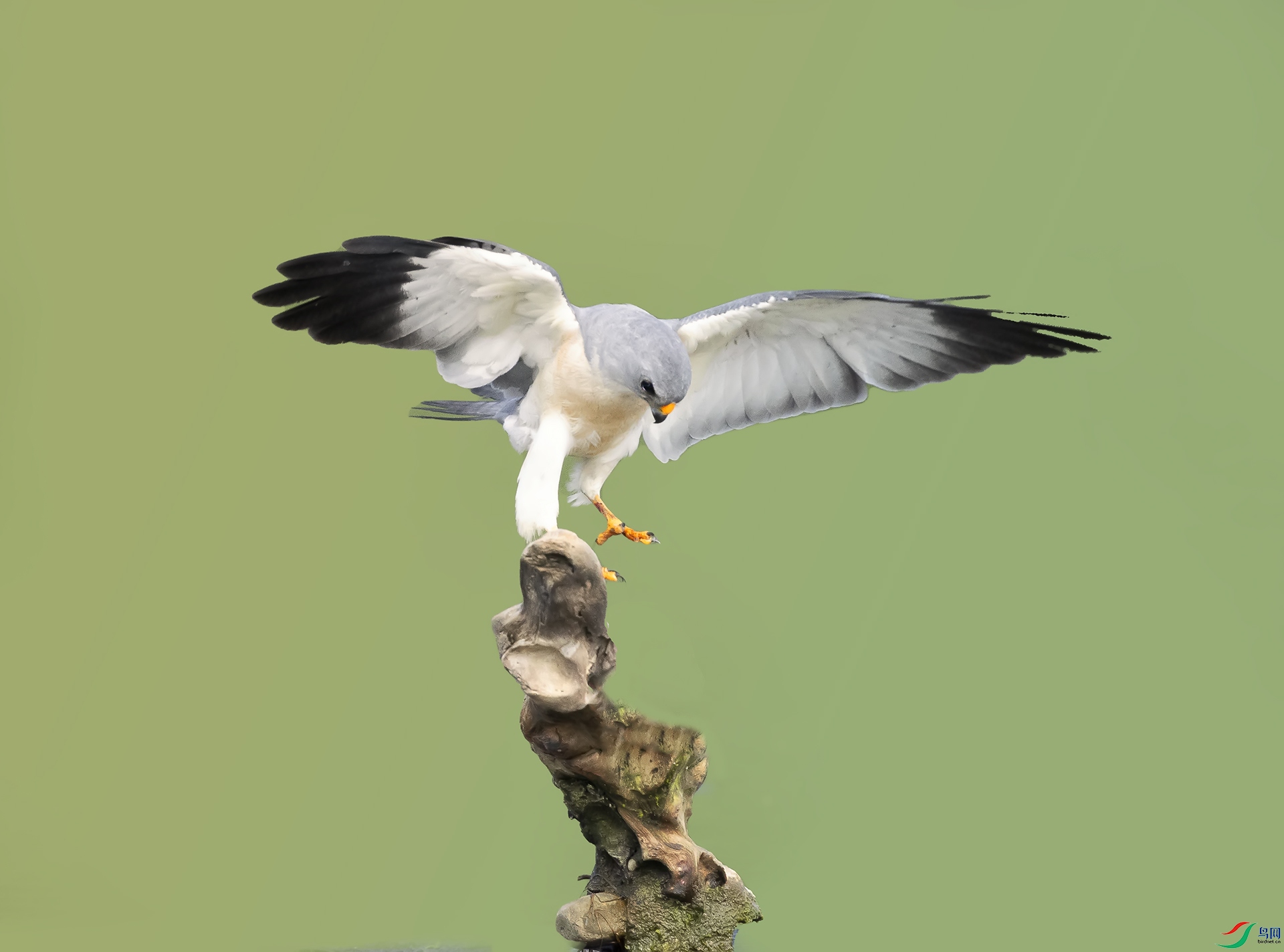 019A5355 ����.jpg