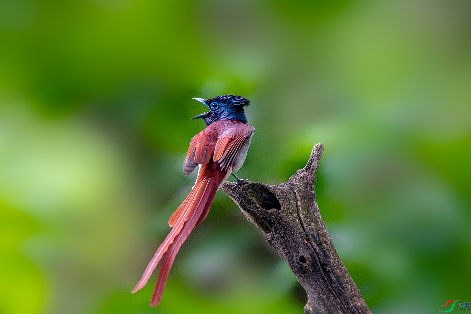 _DSC6005.jpg