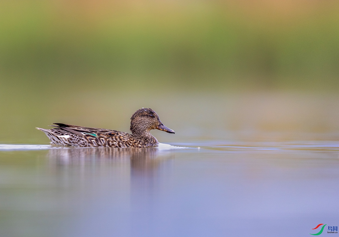 _1-D6A9891 �̳�Ѽ.jpg