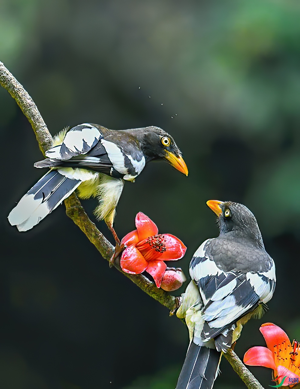 �ĵ�����20191104_6-1.jpg