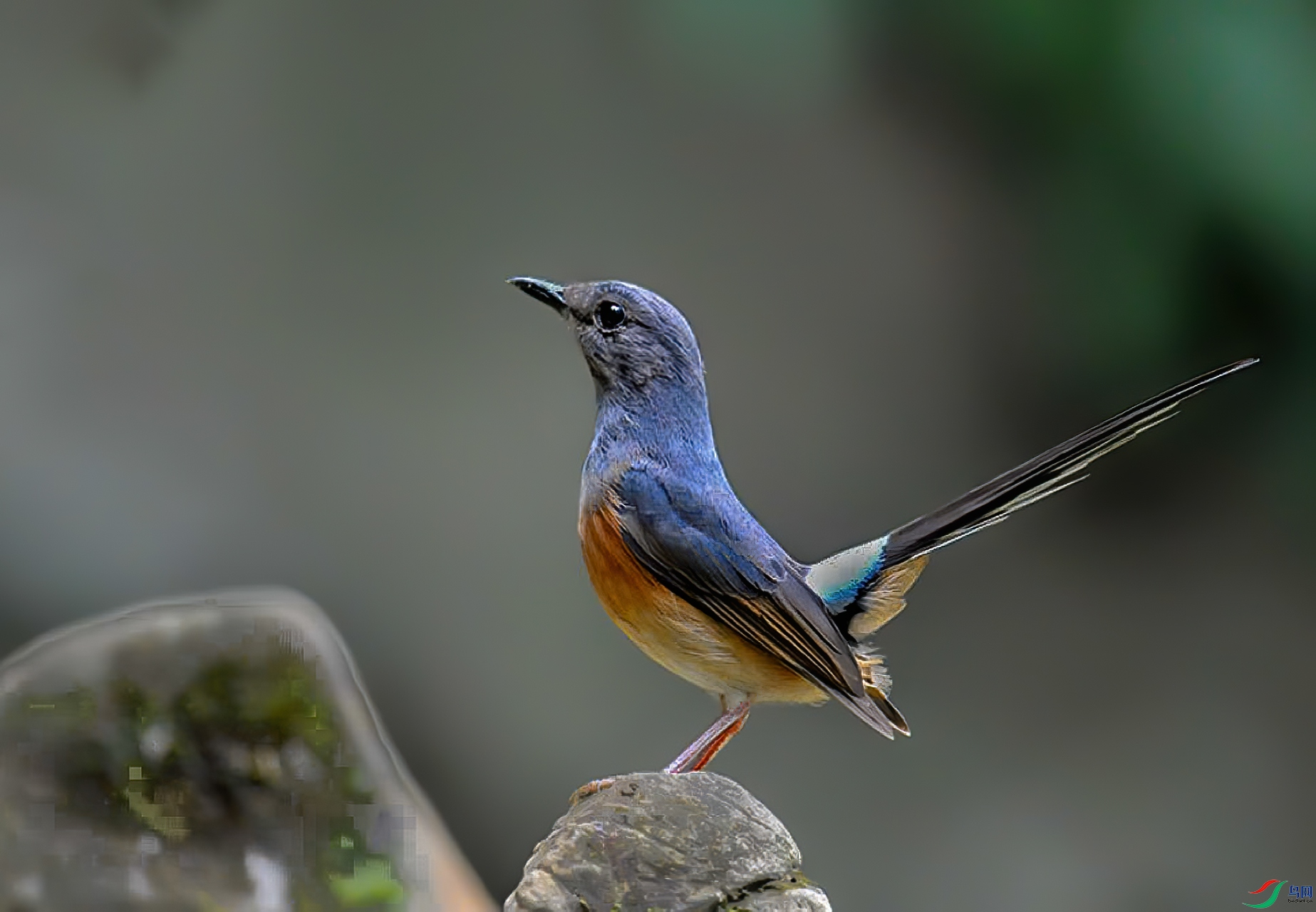 �ĵ�����20191104_7-1.jpg