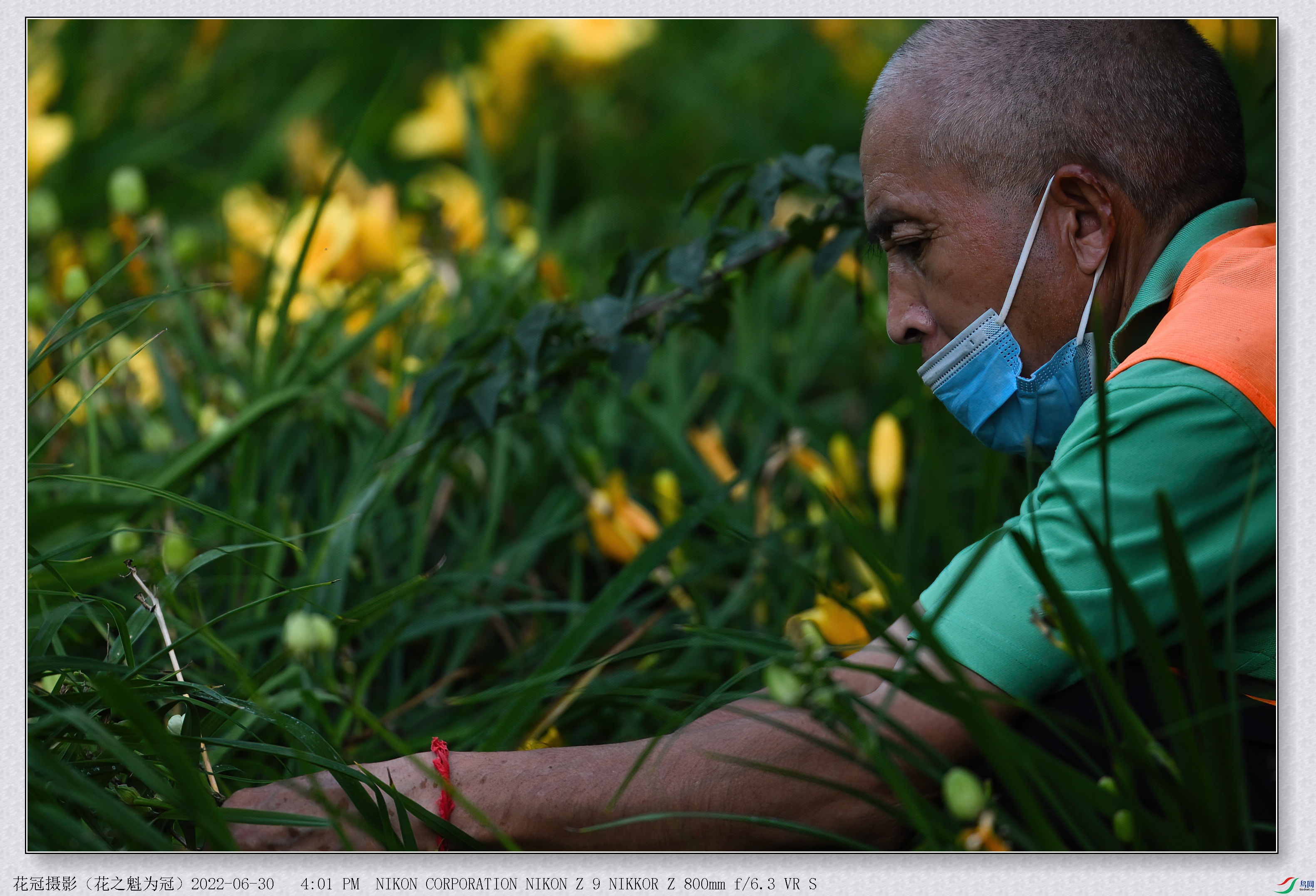 DSC_7947B-1-DeNoiseAI-low-light_����.jpg