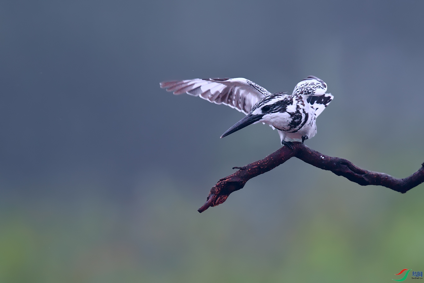 DSC_4918_DxOa.jpg