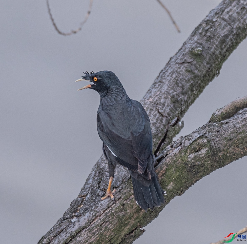 DSC_7771_����.jpg