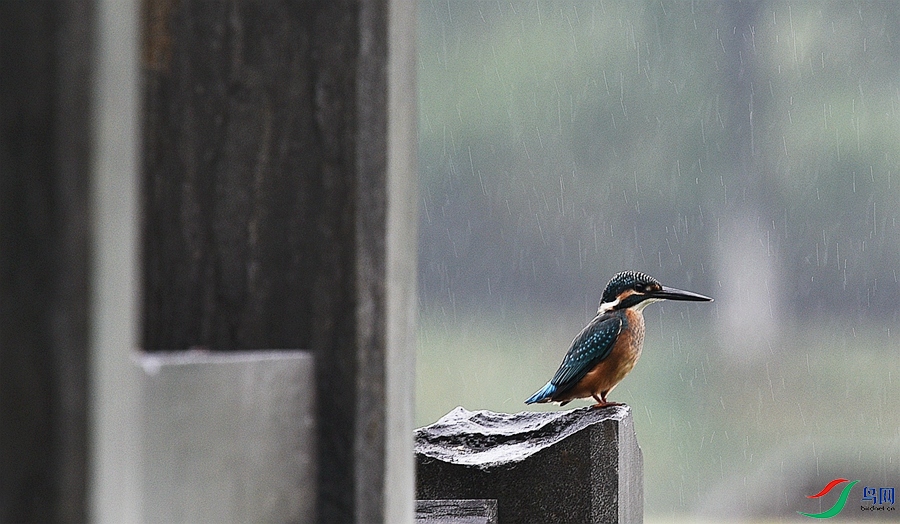 DSC_7504.JPG