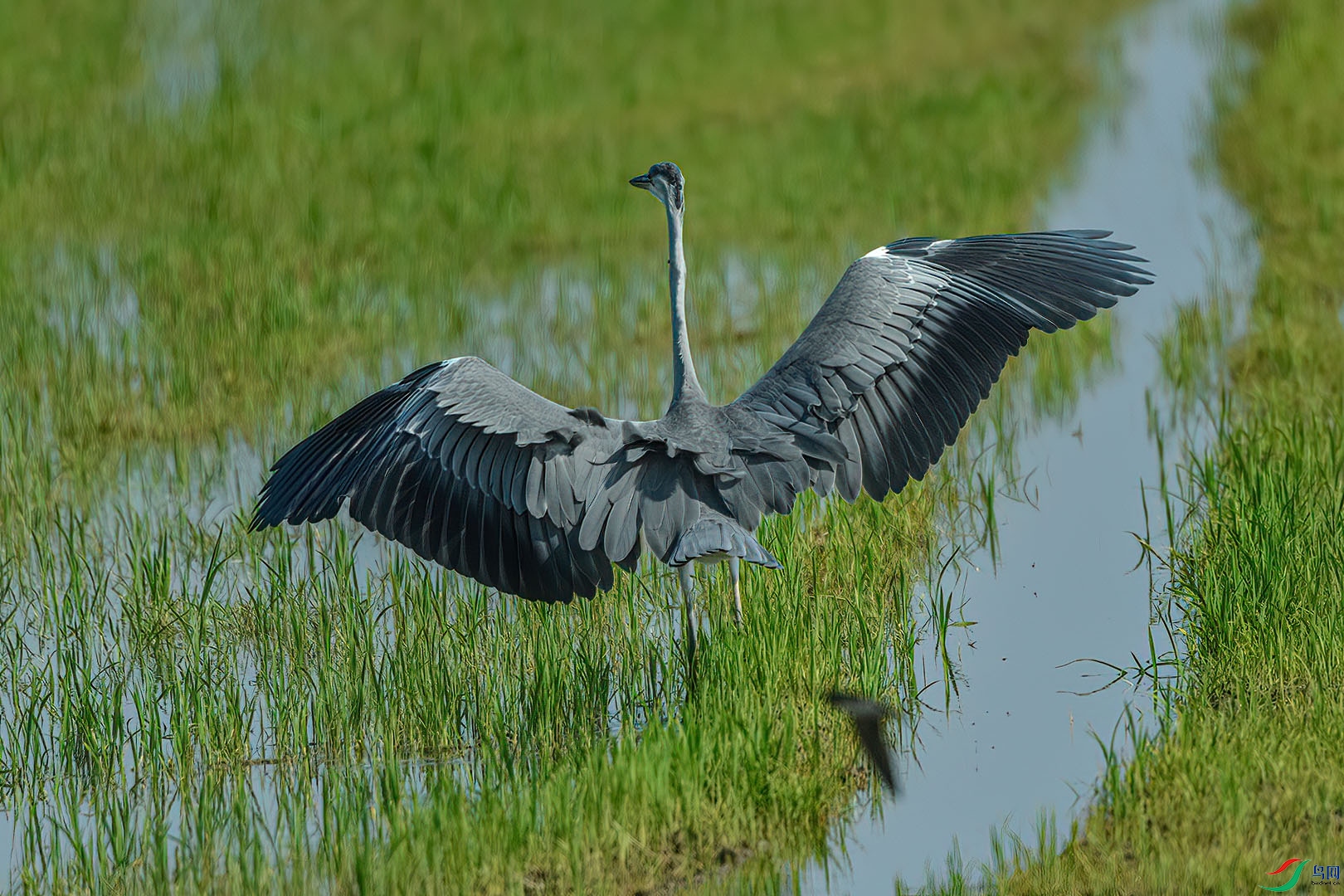 DSC_8472.jpg
