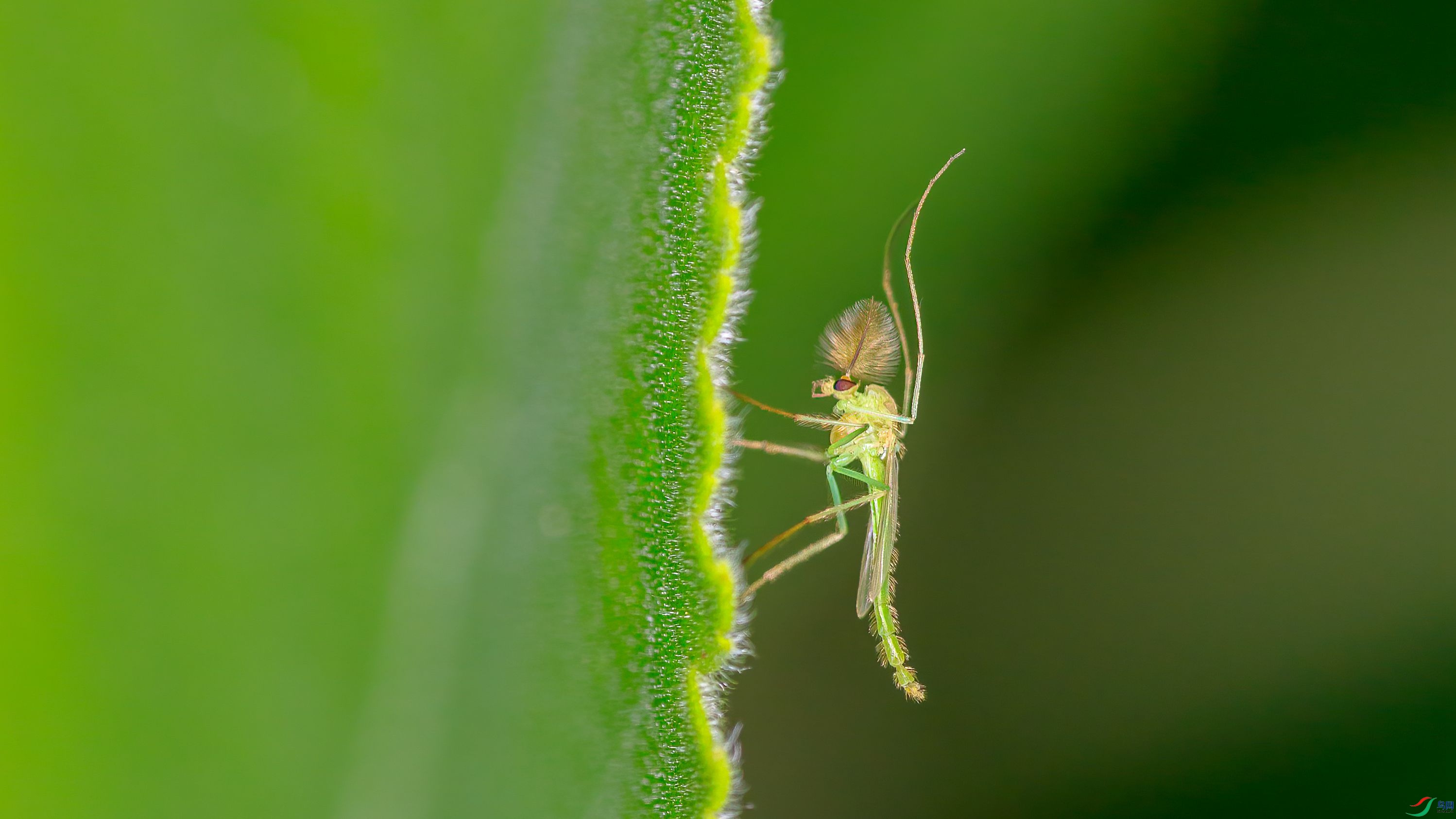 7G9A4150-1_����.jpg