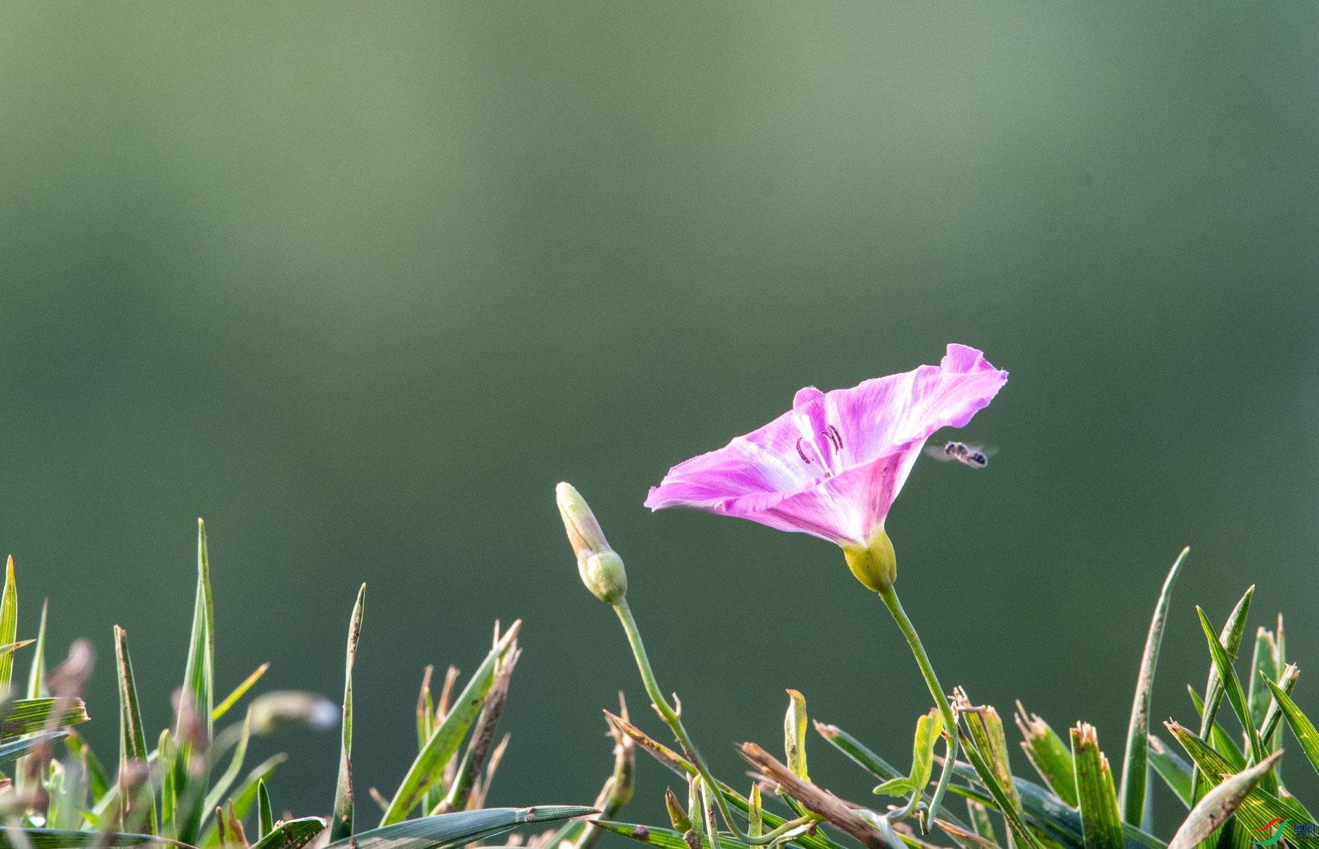 DSC_7891 ����.jpg