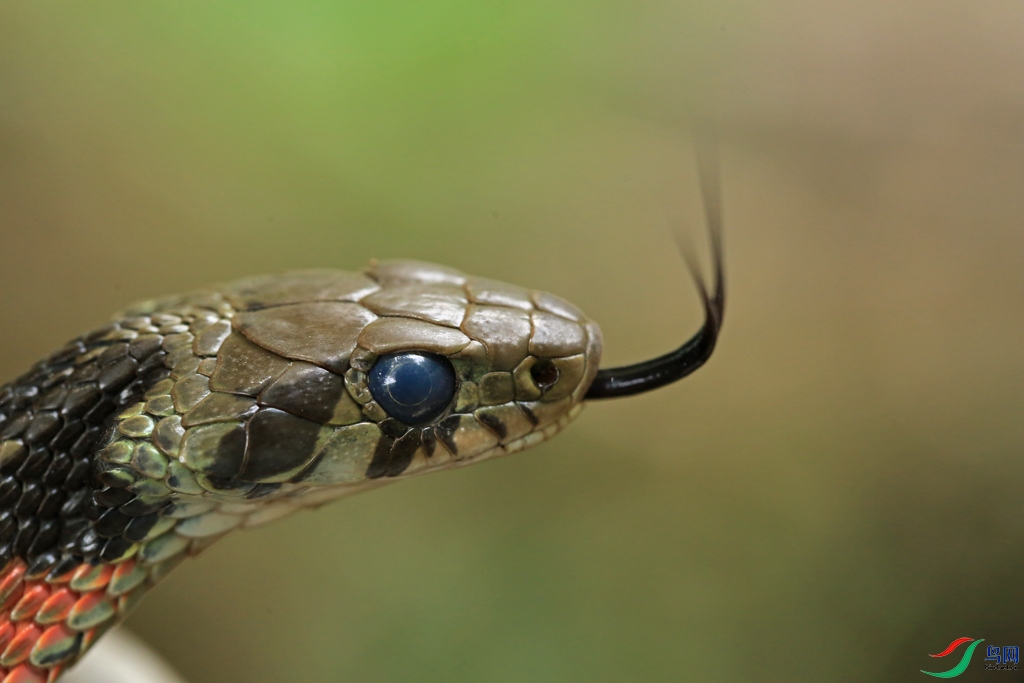 8E8A3236a.jpg