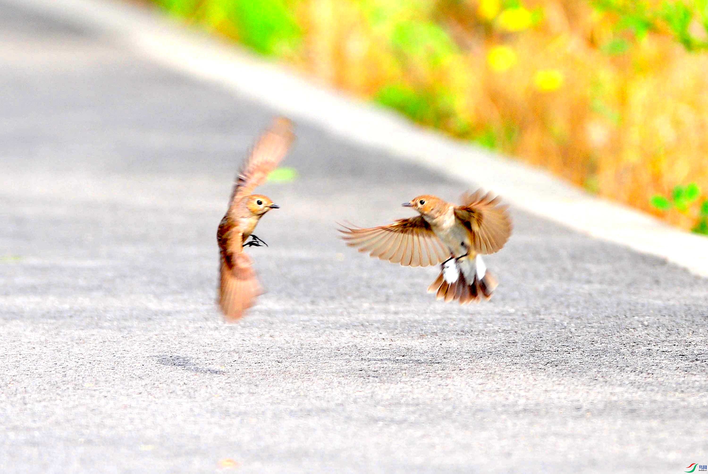 ����l (2).JPG