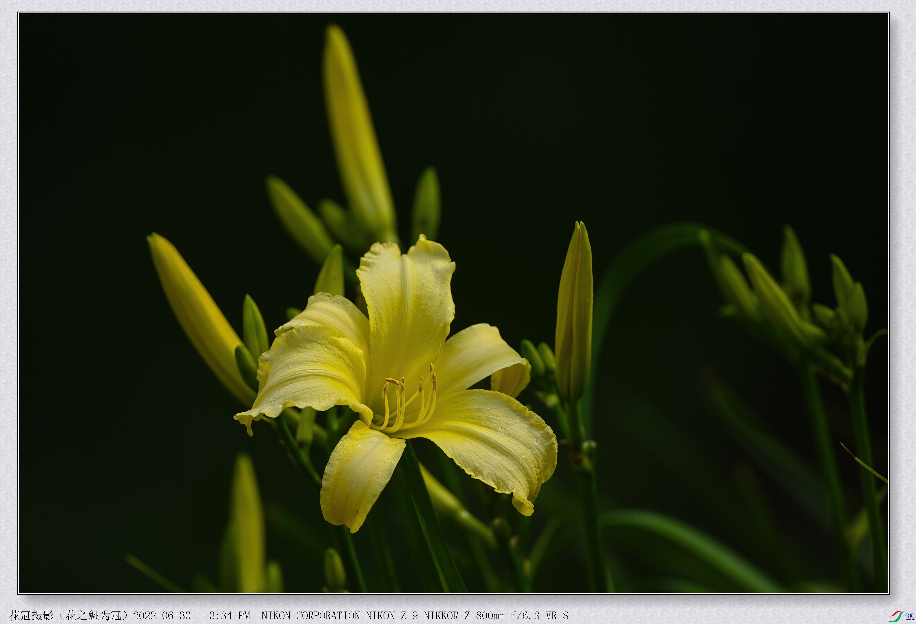 DSC_7018B-1-DeNoiseAI-low-light_����.jpg
