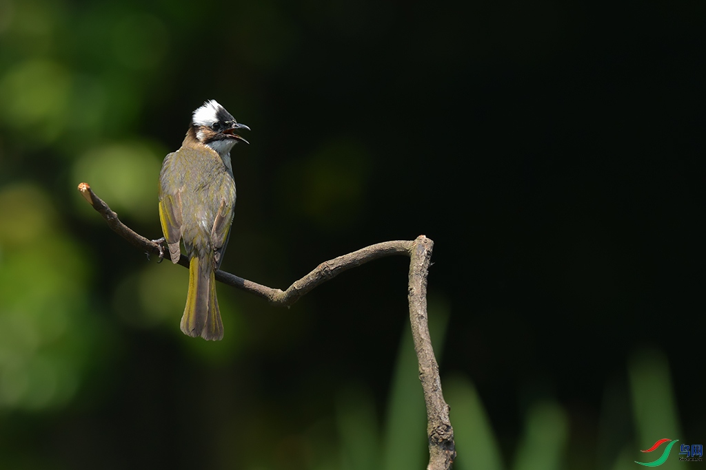 DSC_5792aa.jpg