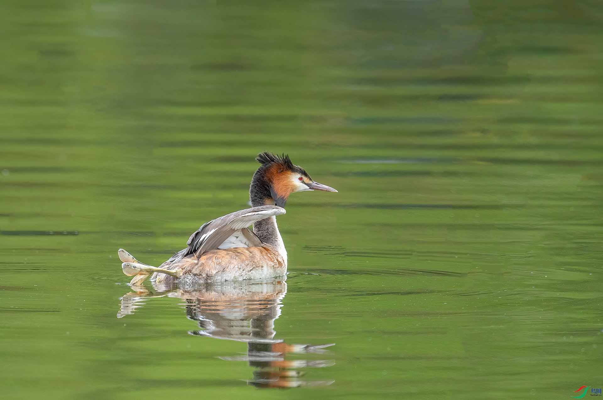 DSC_9496 ����.jpg