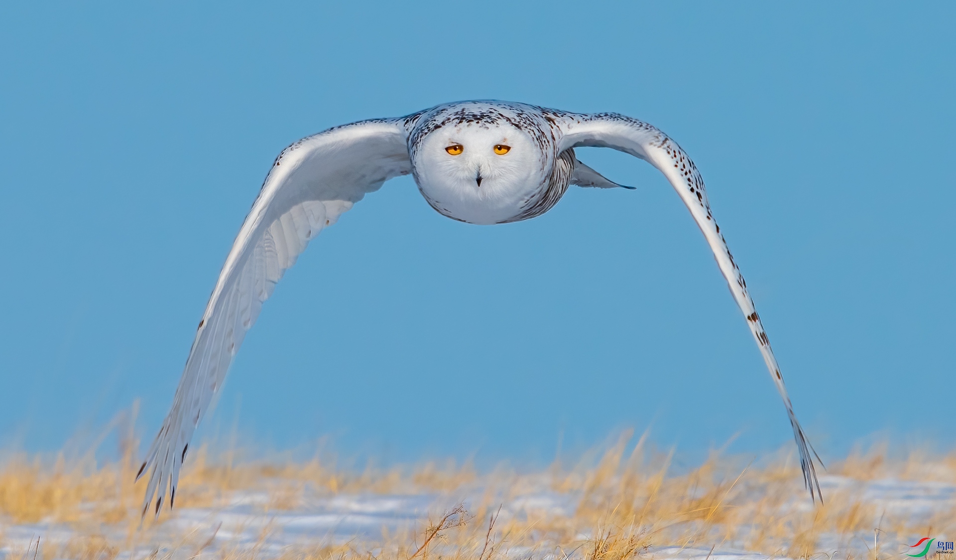 DSC_73261.jpg