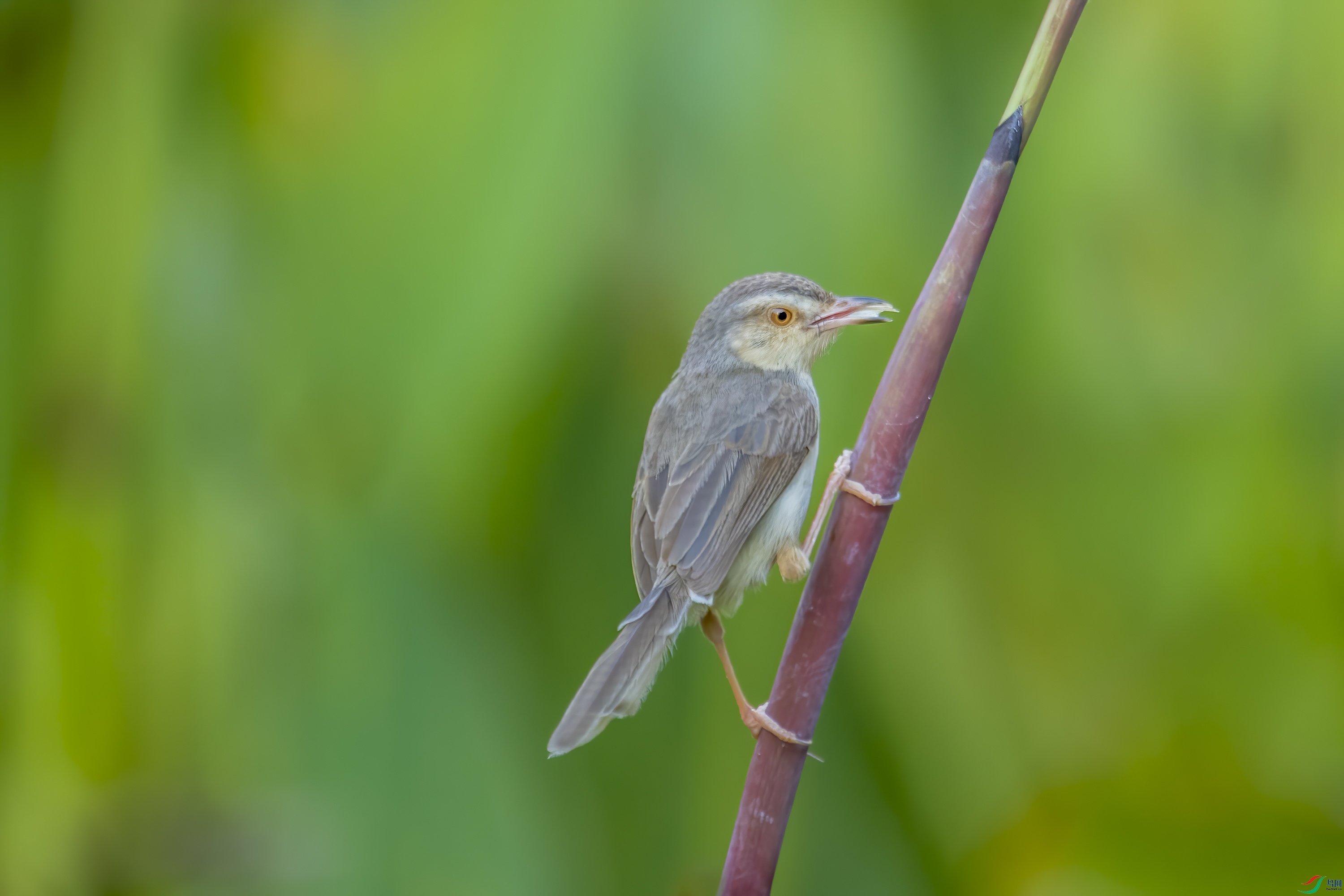 DSC_3565.jpg