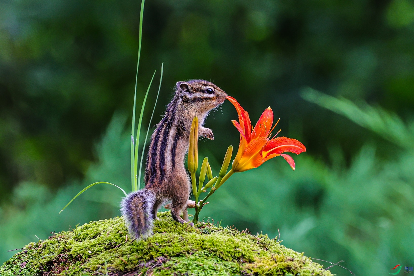 1K3A0289 ����1.jpg