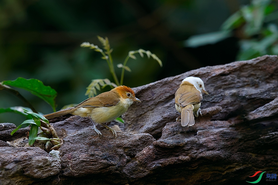 DSC_6244_DxOa.jpg