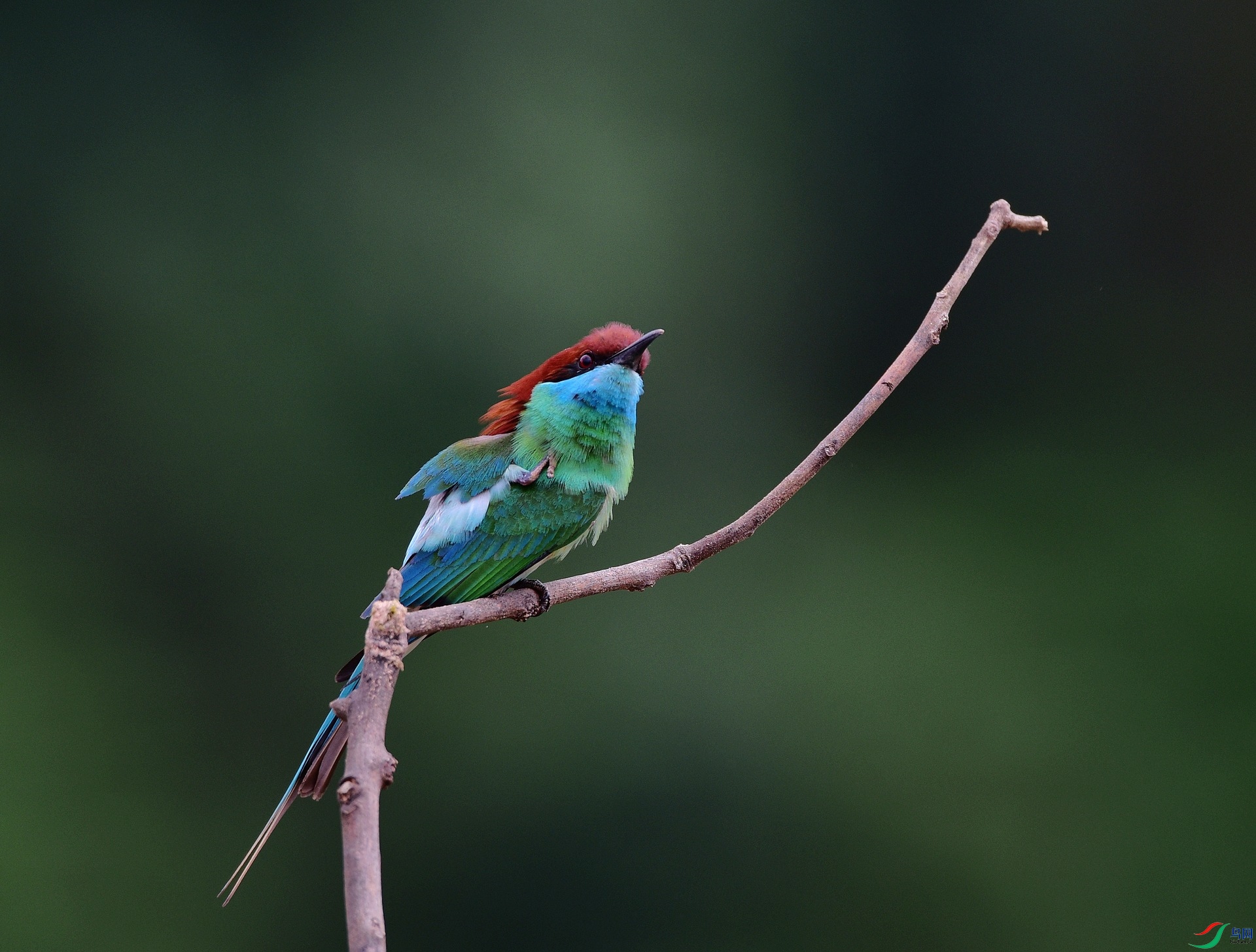D8I_9802.jpg
