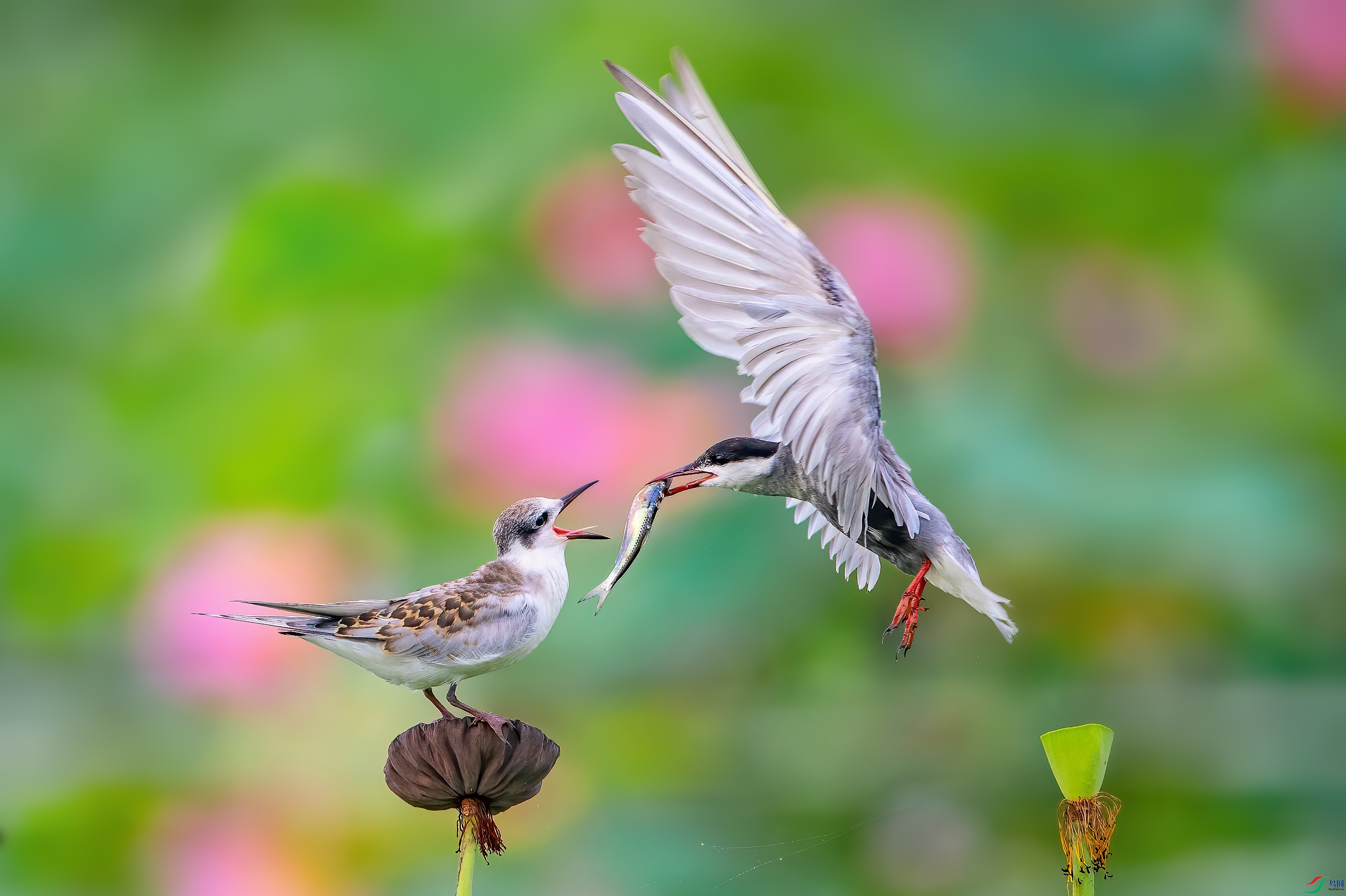 ��DSC_7173.jpg